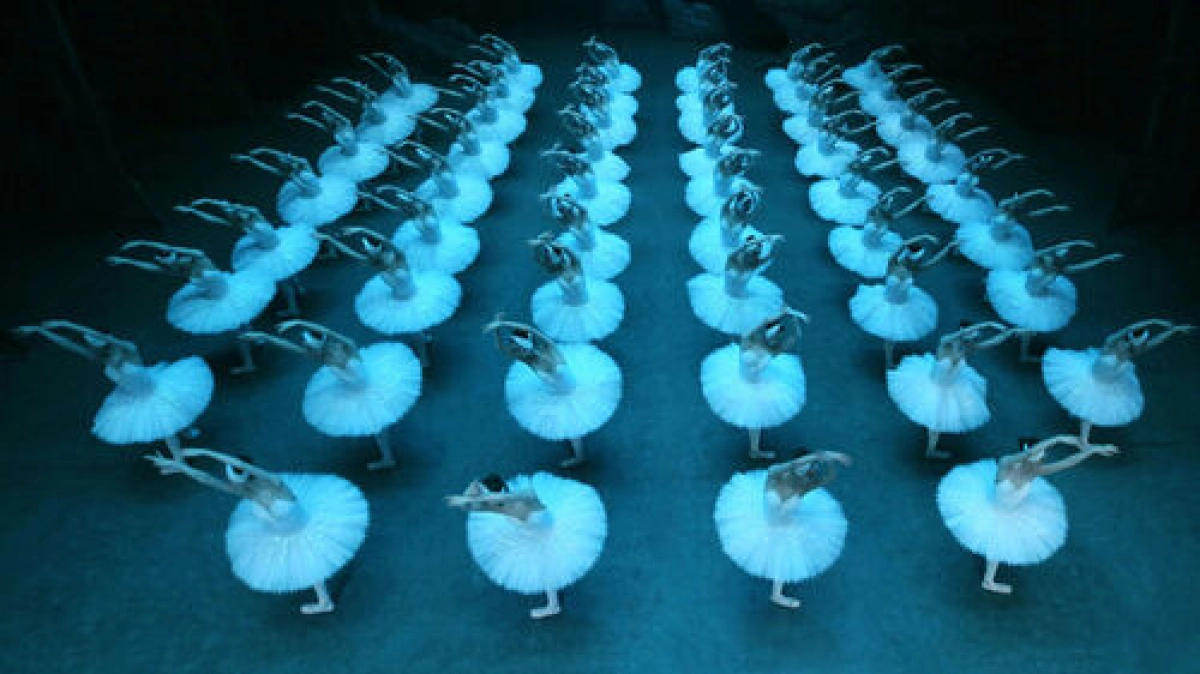 Het grootste Zwanenmeer ter Wereld